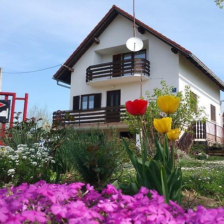 Apartment Ankica Селиште-Дрежничко Экстерьер фото