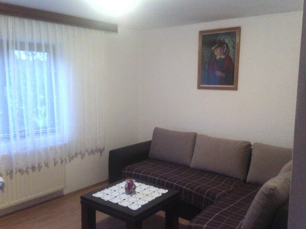 Apartment Ankica Селиште-Дрежничко Номер фото