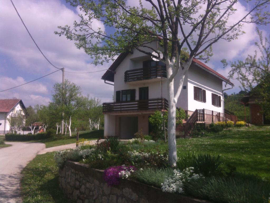 Apartment Ankica Селиште-Дрежничко Номер фото