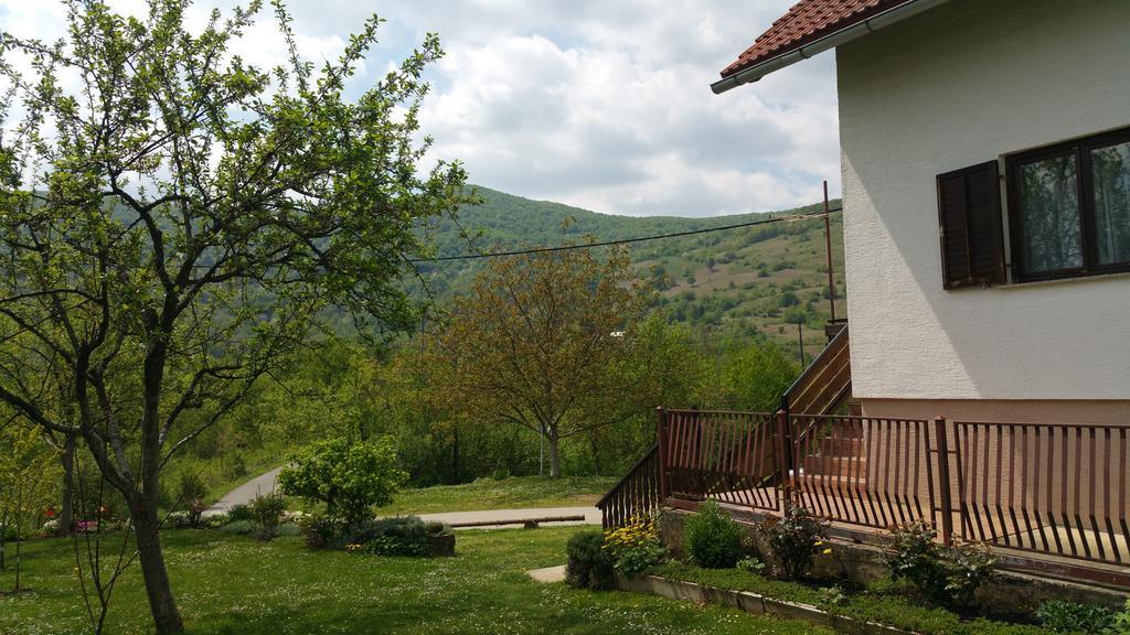 Apartment Ankica Селиште-Дрежничко Экстерьер фото