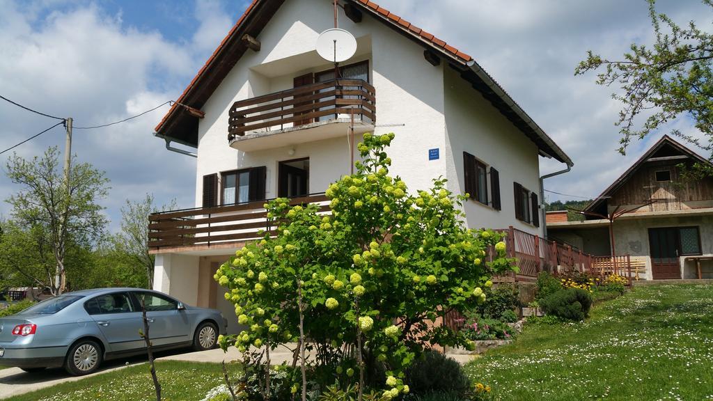 Apartment Ankica Селиште-Дрежничко Экстерьер фото