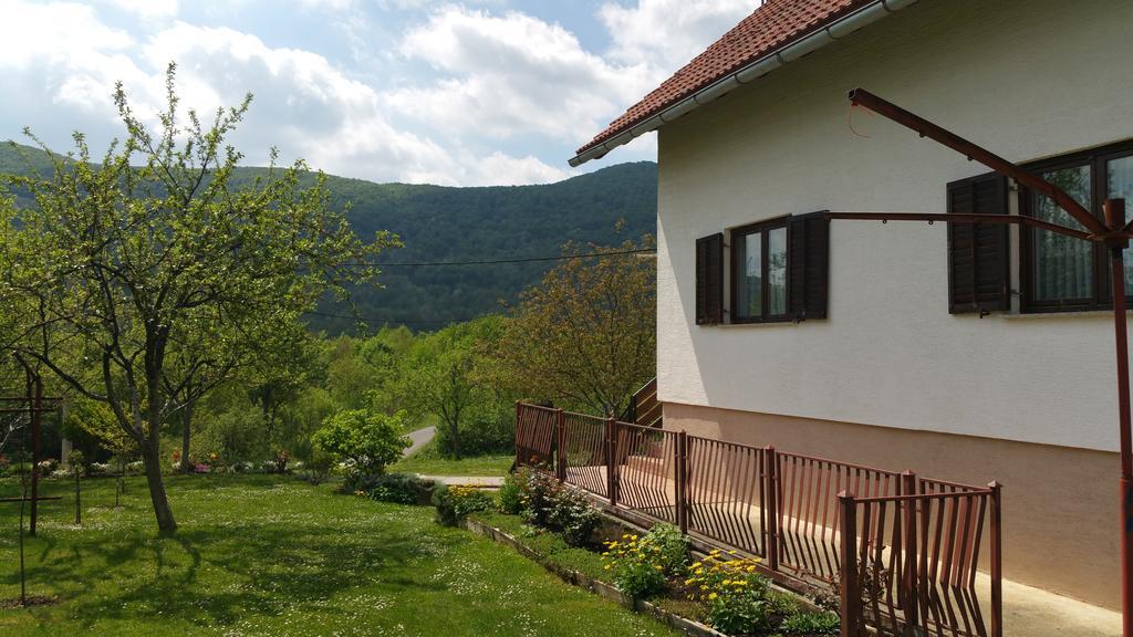 Apartment Ankica Селиште-Дрежничко Экстерьер фото