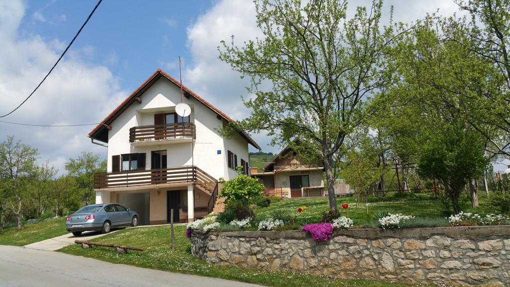 Apartment Ankica Селиште-Дрежничко Экстерьер фото