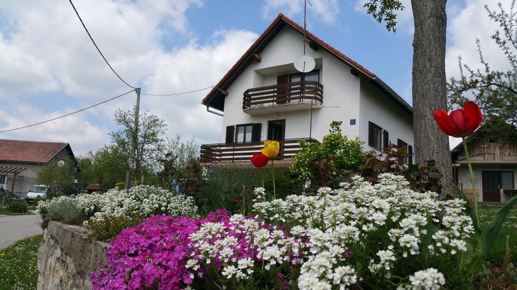 Apartment Ankica Селиште-Дрежничко Экстерьер фото