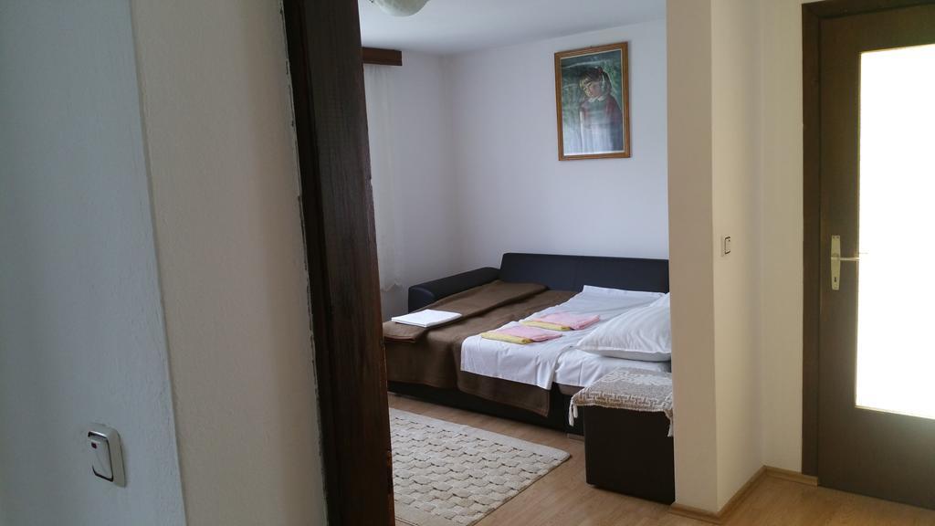 Apartment Ankica Селиште-Дрежничко Экстерьер фото