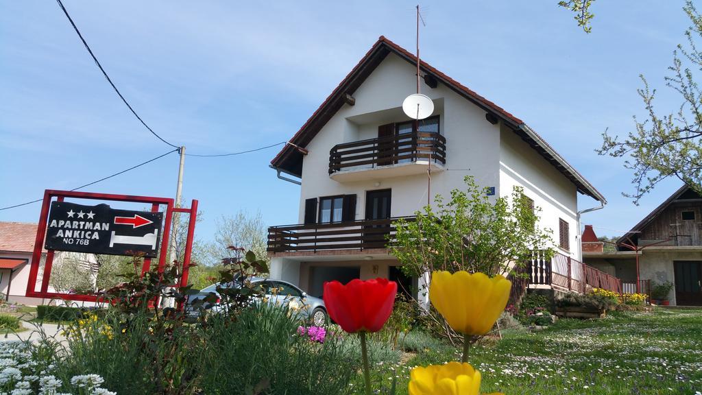 Apartment Ankica Селиште-Дрежничко Экстерьер фото