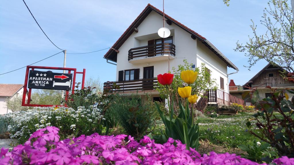 Apartment Ankica Селиште-Дрежничко Экстерьер фото
