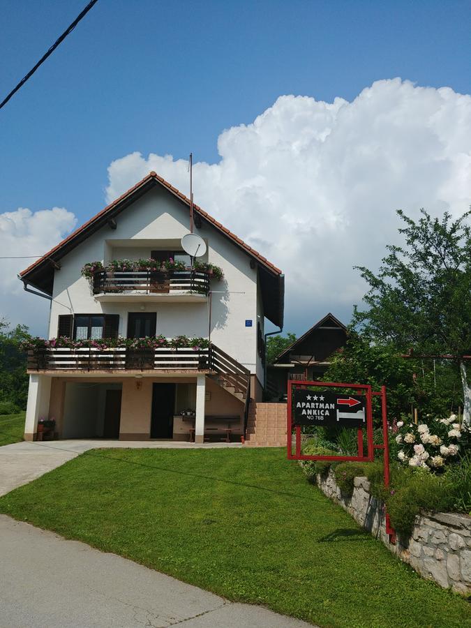 Apartment Ankica Селиште-Дрежничко Экстерьер фото