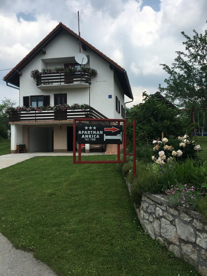 Apartment Ankica Селиште-Дрежничко Экстерьер фото