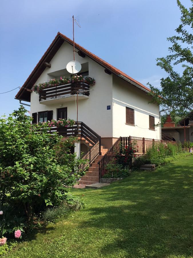 Apartment Ankica Селиште-Дрежничко Экстерьер фото