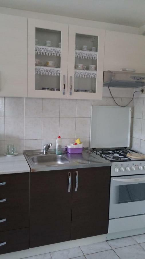 Apartment Ankica Селиште-Дрежничко Экстерьер фото