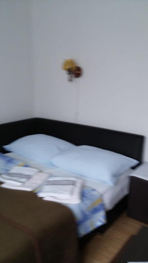 Apartment Ankica Селиште-Дрежничко Экстерьер фото