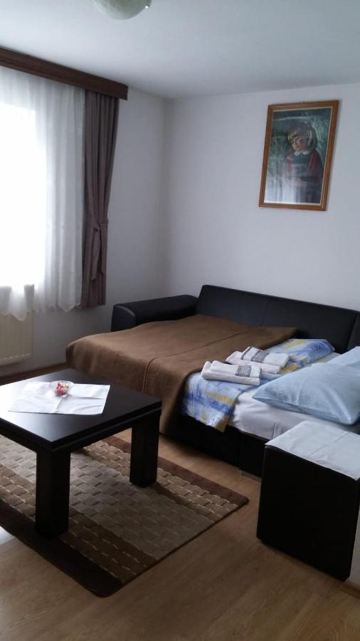 Apartment Ankica Селиште-Дрежничко Экстерьер фото